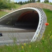 Holz-Beton-Verbund-Wildbrücke 